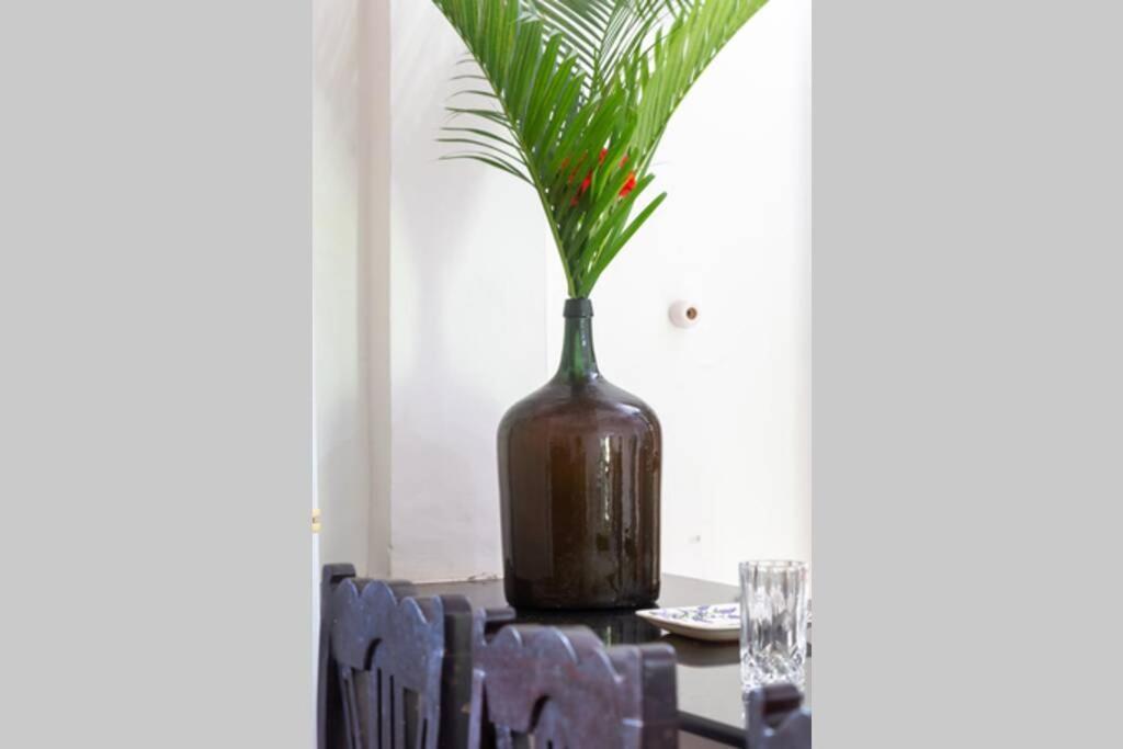 Villa Barbosa, 2 Bhk Villa & Luxury Rooms Near Colva, Sernabatim, Benaulim Beach Экстерьер фото