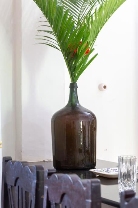 Villa Barbosa, 2 Bhk Villa & Luxury Rooms Near Colva, Sernabatim, Benaulim Beach Экстерьер фото