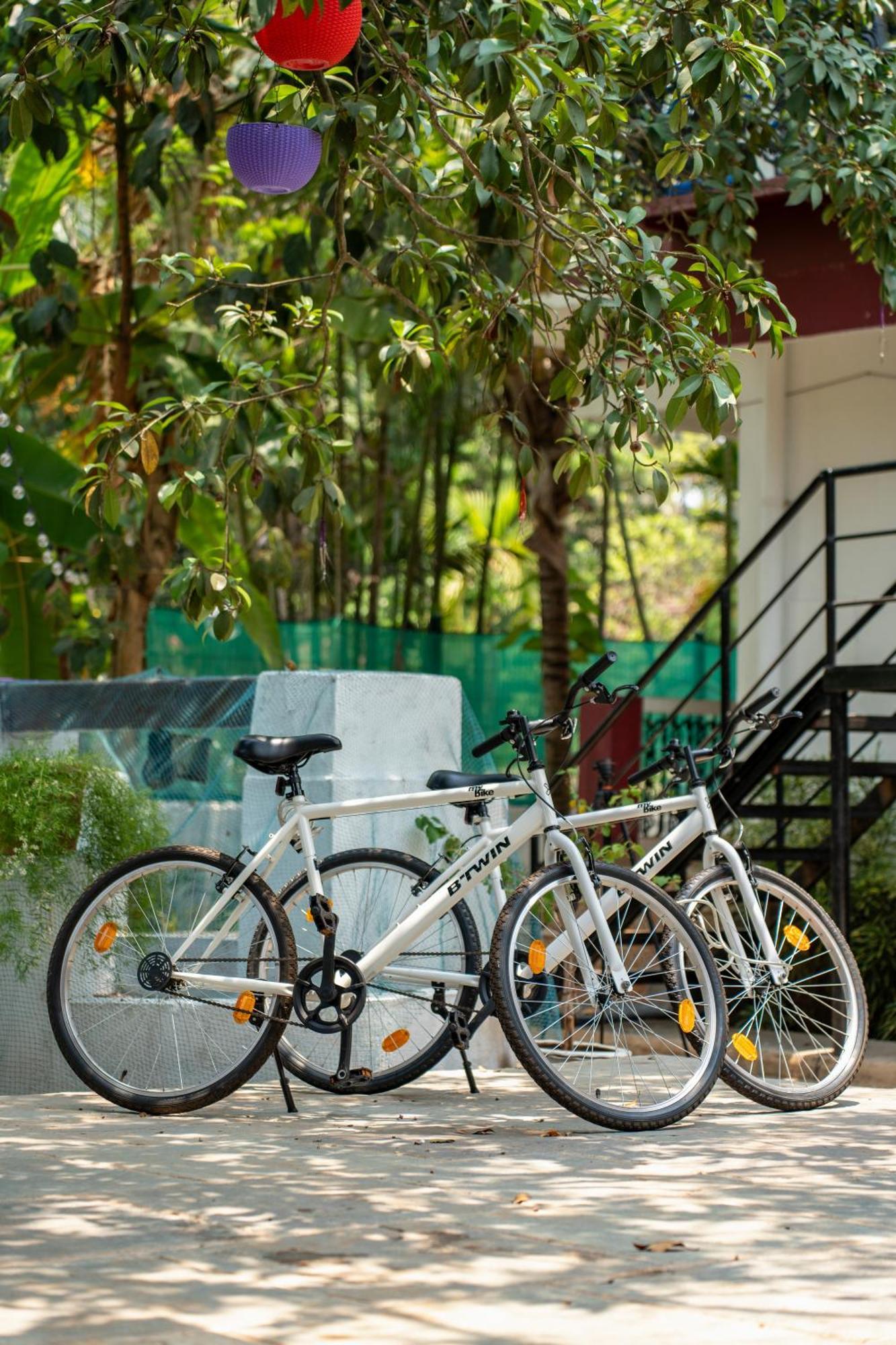 Villa Barbosa, 2 Bhk Villa & Luxury Rooms Near Colva, Sernabatim, Benaulim Beach Экстерьер фото